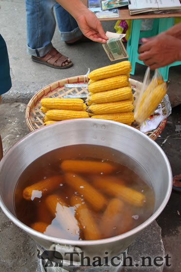 ミャンマー旅行・ヤンゴン基本ガイド