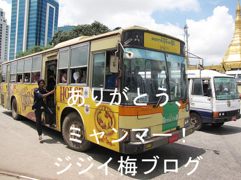 ジジイ梅ミャンマー通信｜タイランドハイパーリンクス