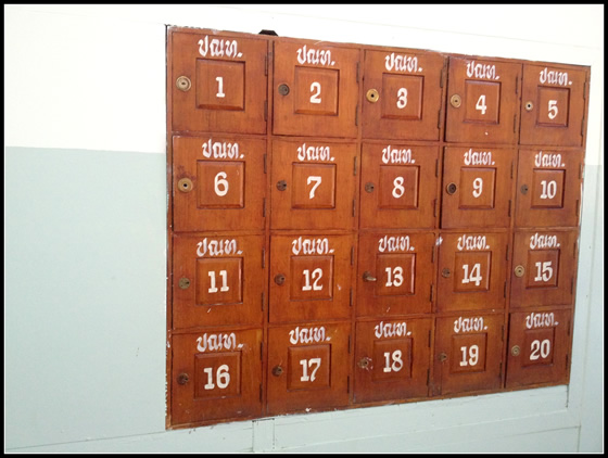 タイのチャイヤプームで波瀾万丈移住生活