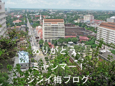 ジジイ梅ミャンマー通信|タイランドハイパーリンクス