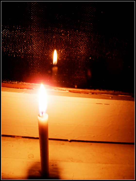 タイのチャイヤプームで波瀾万丈移住生活