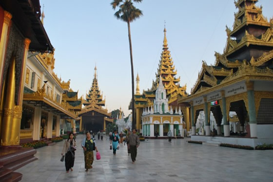 ジジイ梅ミャンマー通信｜タイランドハイパーリンクス