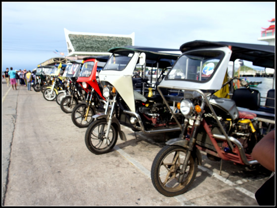 タイのチャイヤプームで波瀾万丈移住生活