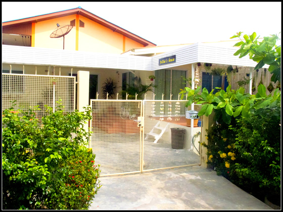 タイのチャイヤプームで波瀾万丈移住生活