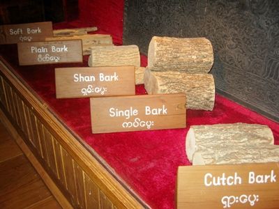 ジジイ梅ミャンマー通信｜タイランドハイパーリンクス