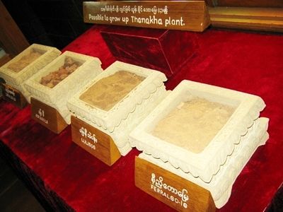 ジジイ梅ミャンマー通信｜タイランドハイパーリンクス