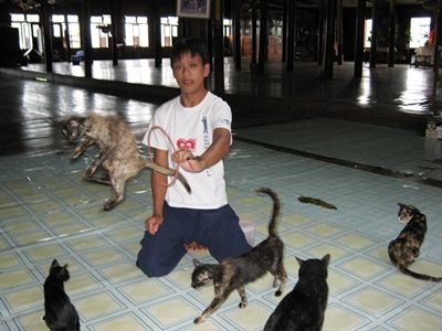 ミャンマー情報