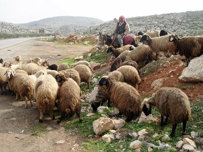 ジジイ梅のワールド通信 