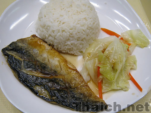 ノッポさんの写真