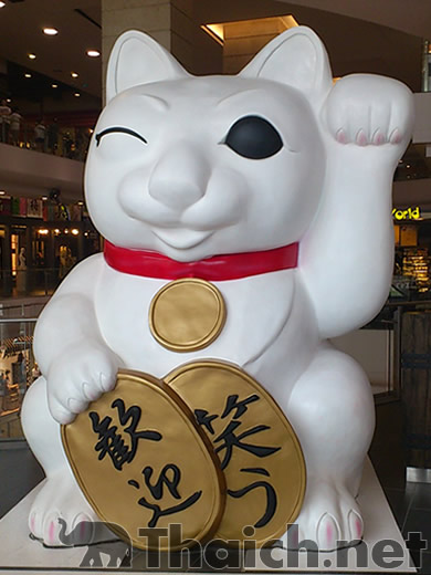 ノッポさんの写真