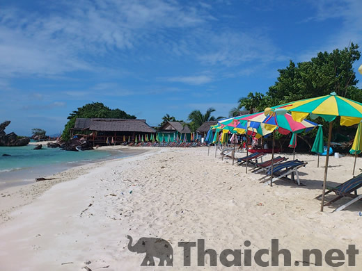 ノッポさんの写真