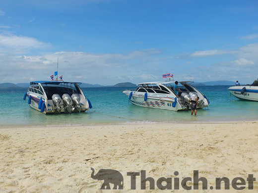 ノッポさんの写真