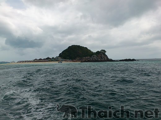 ノッポさんの写真