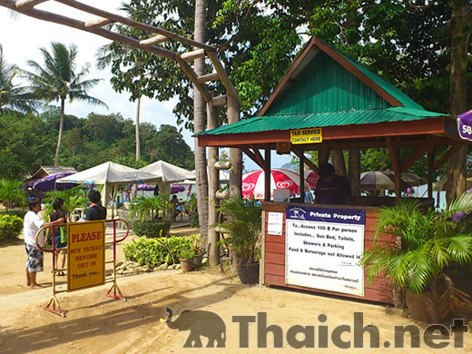 ノッポさんの写真