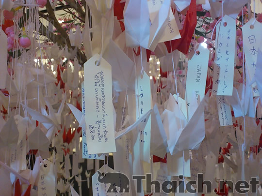 ノッポさんの写真