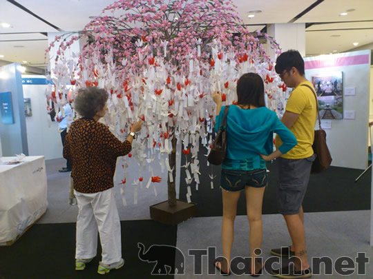 ノッポさんの写真