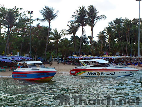 ノッポさんの写真