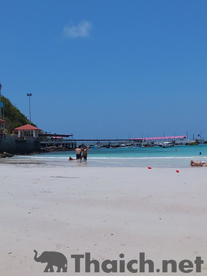 ノッポさんの写真