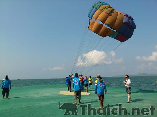 ノッポさんの写真