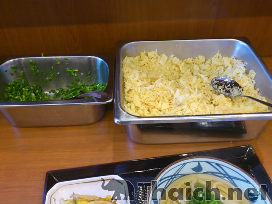 ノッポさんの写真