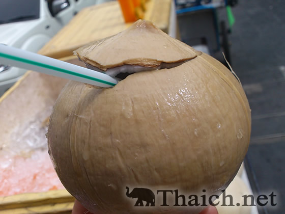 ノッポさんの写真