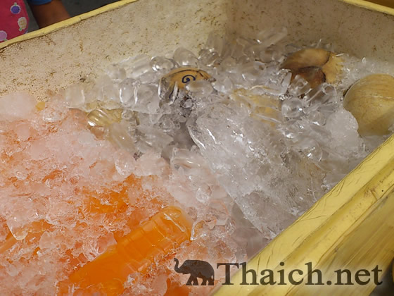 ノッポさんの写真