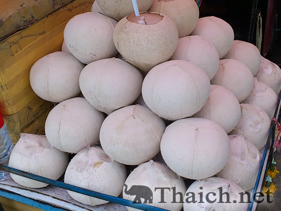 ノッポさんの写真