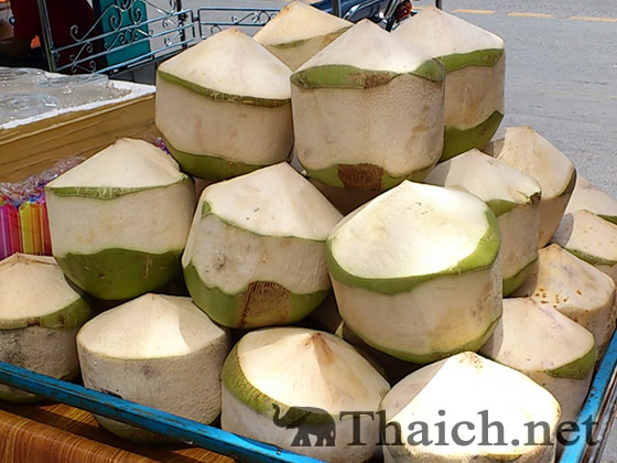 ノッポさんの写真