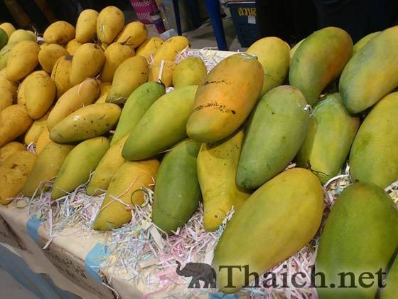 ノッポさんの写真