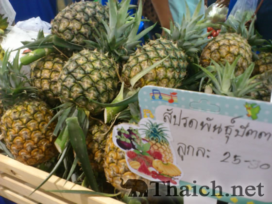 ノッポさんの写真