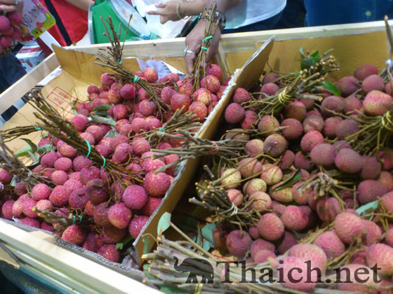 ノッポさんの写真