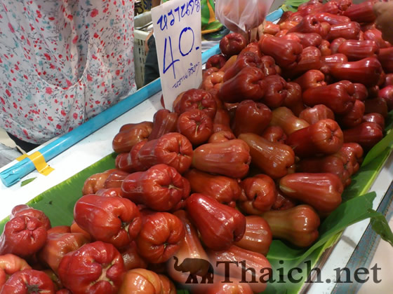 ノッポさんの写真