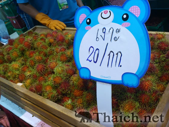 ノッポさんの写真