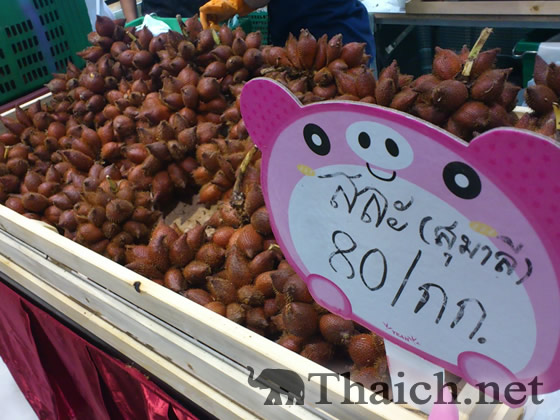 ノッポさんの写真