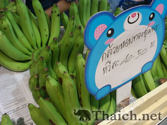 ノッポさんの写真