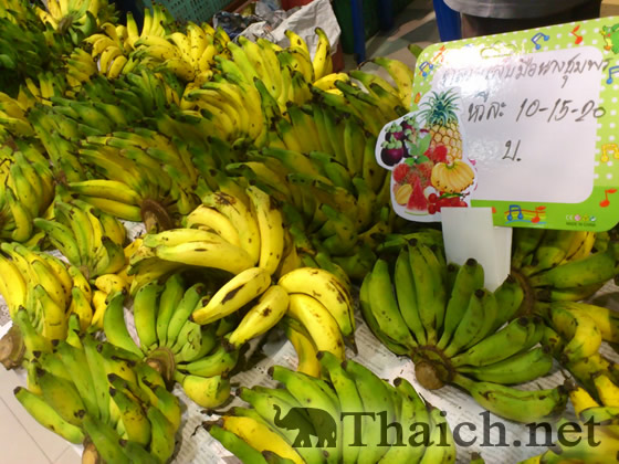 ノッポさんの写真