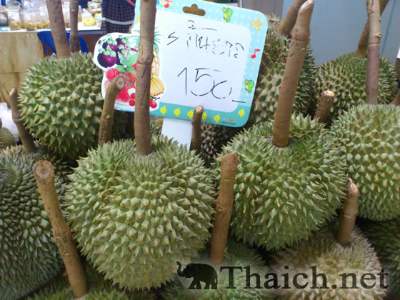 ノッポさんの写真