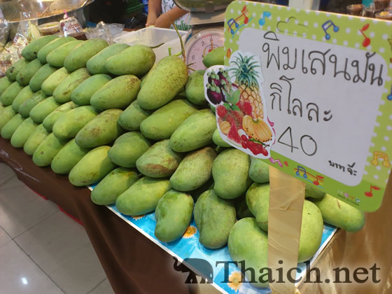 ノッポさんの写真