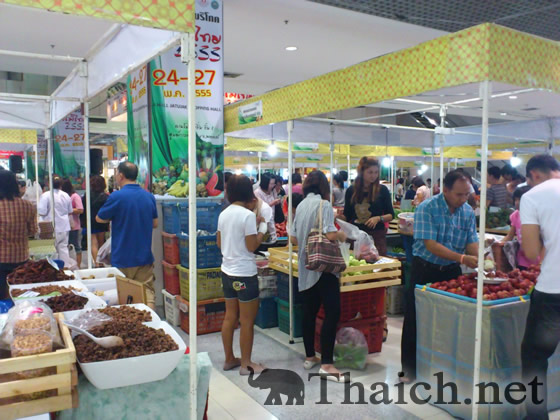 ノッポさんの写真