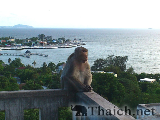 ノッポさんの写真