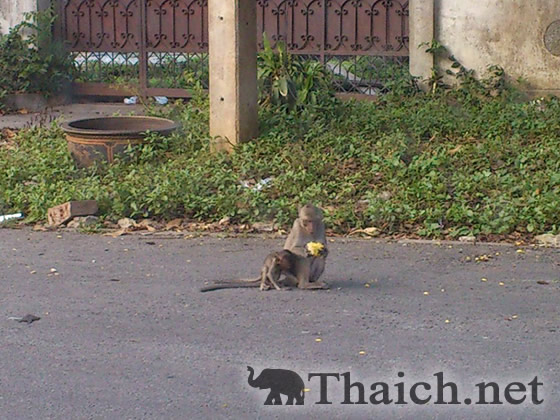 ノッポさんの写真