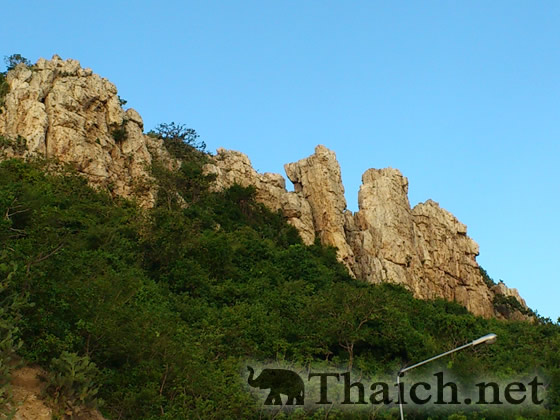 ノッポさんの写真