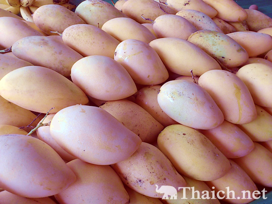 ノッポさんの写真