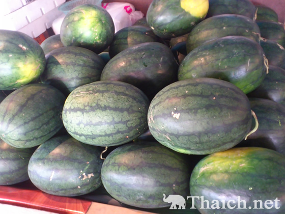 ノッポさんの写真