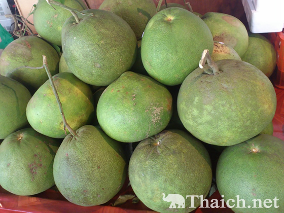 ノッポさんの写真