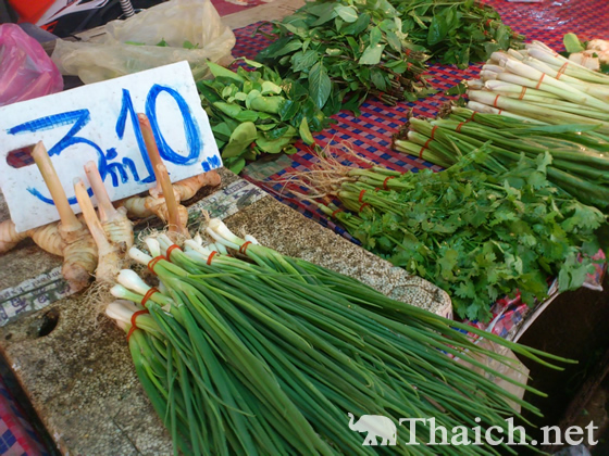 ノッポさんの写真