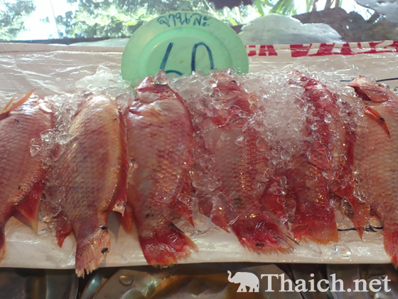 ノッポさんの写真