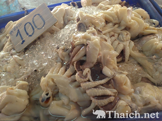 ノッポさんの写真