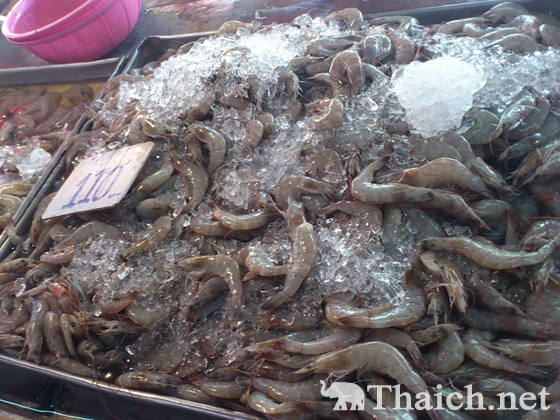 ノッポさんの写真