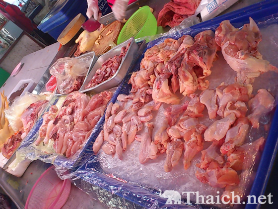 ノッポさんの写真